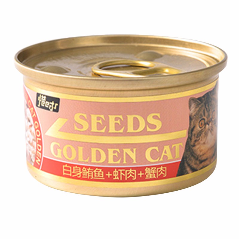 Seeds | 车载高精度惯导研发商戴世智能完成数千万元A+轮融资